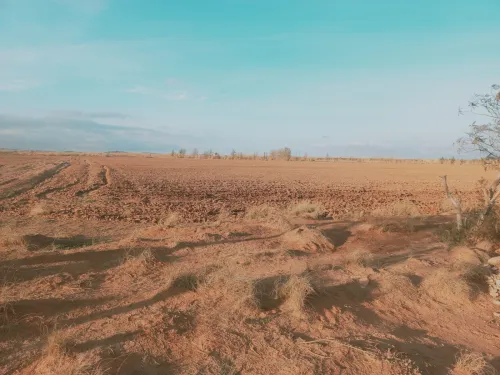 Vente Terrain Agricole Djelfa Ain oussara