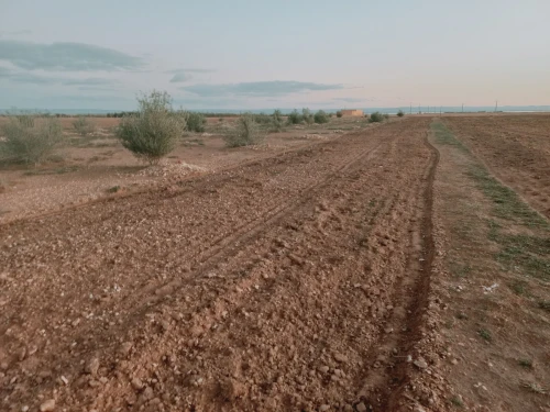 Vente Terrain Agricole Djelfa Hassi bahbah