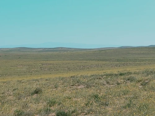 Vente Terrain Agricole Djelfa Djelfa