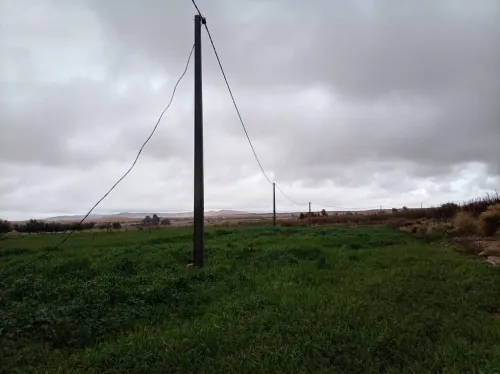 Vente Terrain Agricole Djelfa Djelfa