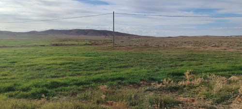 Vente Terrain Agricole Djelfa Djelfa