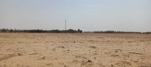 Vente Terrain Agricole Djelfa Ain oussara