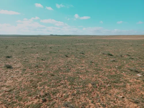 Vente Terrain Agricole Djelfa Birine