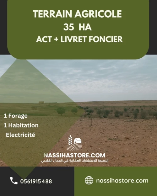 Vente Terrain Agricole Djelfa Birine
