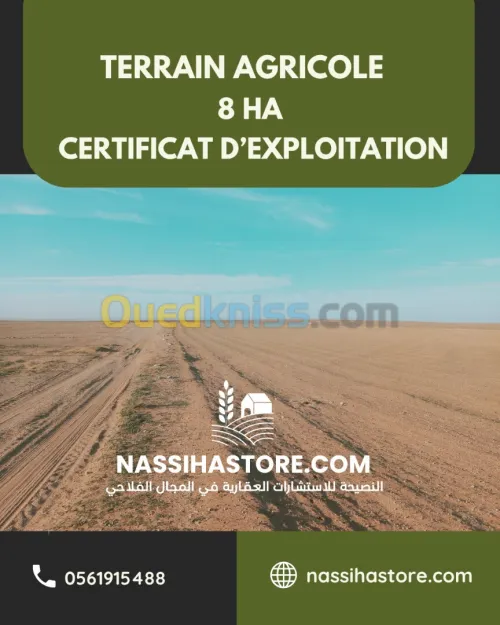 Vente Terrain Agricole Djelfa Birine