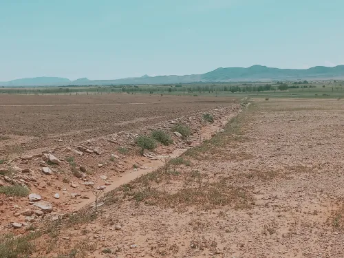 Vente Terrain Agricole Djelfa Bouira lahdab