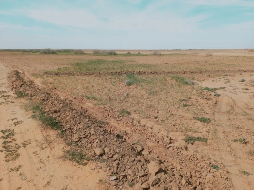 Vente Terrain Agricole Djelfa Birine