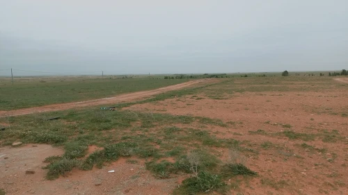 Vente Terrain Agricole Djelfa Ain oussara