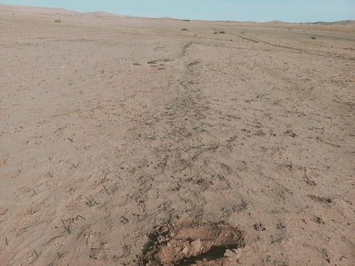 Vente Terrain Agricole Djelfa Djelfa