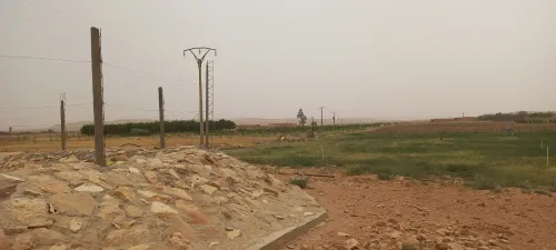 Vente Terrain Agricole Djelfa Djelfa