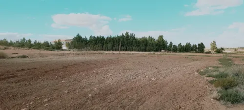 Vente Terrain Agricole Djelfa Djelfa
