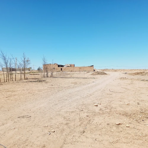 Vente Terrain Agricole Djelfa Benhar
