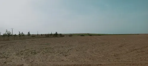 Vente Terrain Agricole Djelfa Ain oussara