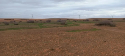 Vente Terrain Agricole Djelfa Ain oussara