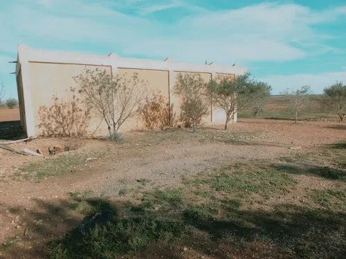 Vente Terrain Agricole Djelfa Had sahary