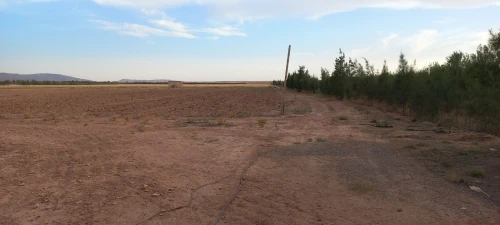 Vente Terrain Agricole Djelfa Had sahary