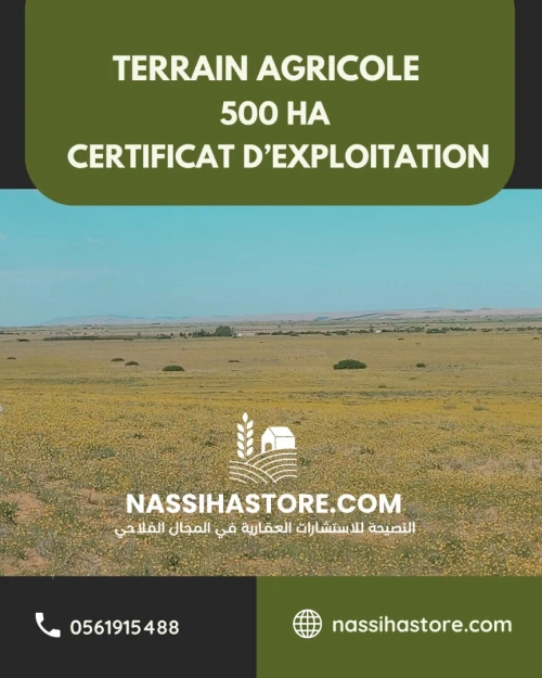 Vente Terrain Agricole Djelfa Djelfa
