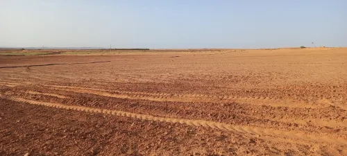 Vente Terrain Agricole Djelfa Djelfa