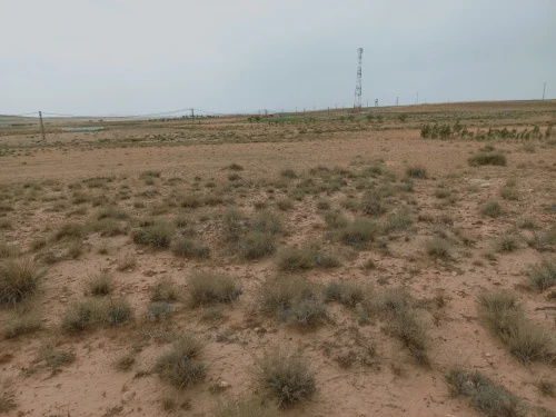 Vente Terrain Agricole Djelfa Djelfa