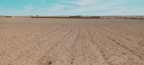 Vente Terrain Agricole Djelfa Birine