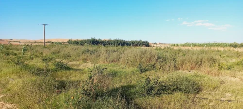 Vente Terrain Agricole Djelfa Djelfa