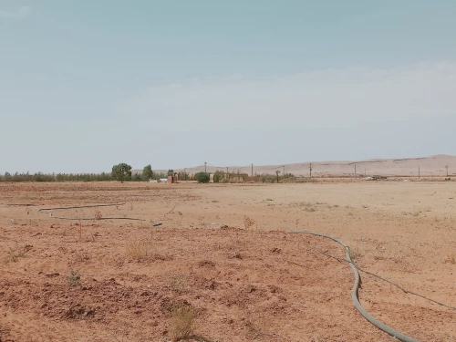 Vente Terrain Agricole Djelfa Ain oussara