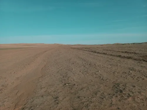 Vente Terrain Agricole Djelfa Djelfa