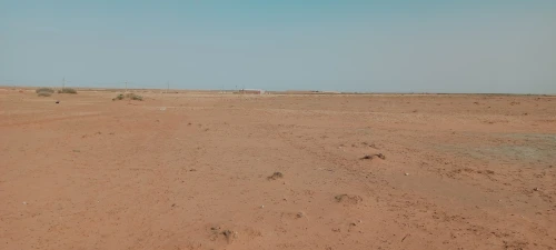 Vente Terrain Agricole Djelfa Ain oussara