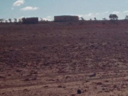 Vente Terrain Agricole Djelfa Ain oussara
