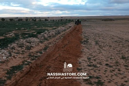 Vente Terrain Agricole Djelfa Birine