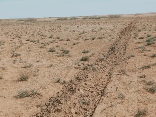 Vente Terrain Agricole Djelfa Birine