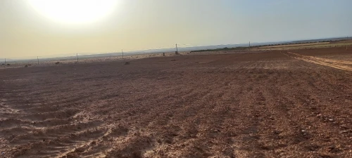 Vente Terrain Agricole Djelfa Djelfa