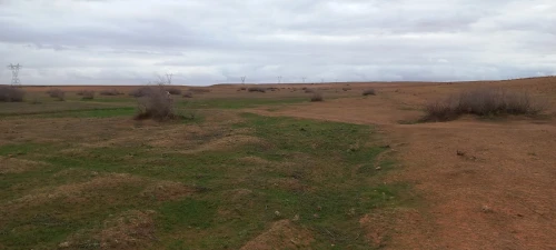 Vente Terrain Agricole Djelfa Ain oussara