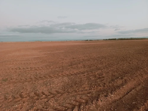 Vente Terrain Agricole Djelfa Hassi bahbah