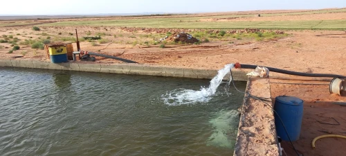 Vente Terrain Agricole Djelfa Djelfa