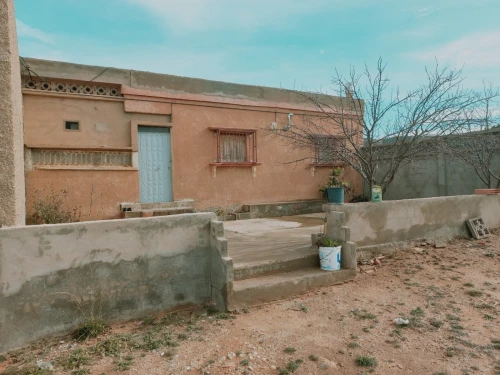 Vente Terrain Agricole Djelfa Djelfa