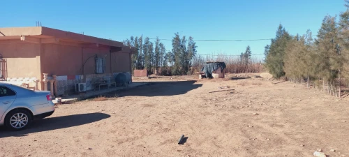 Vente Terrain Agricole Djelfa Djelfa