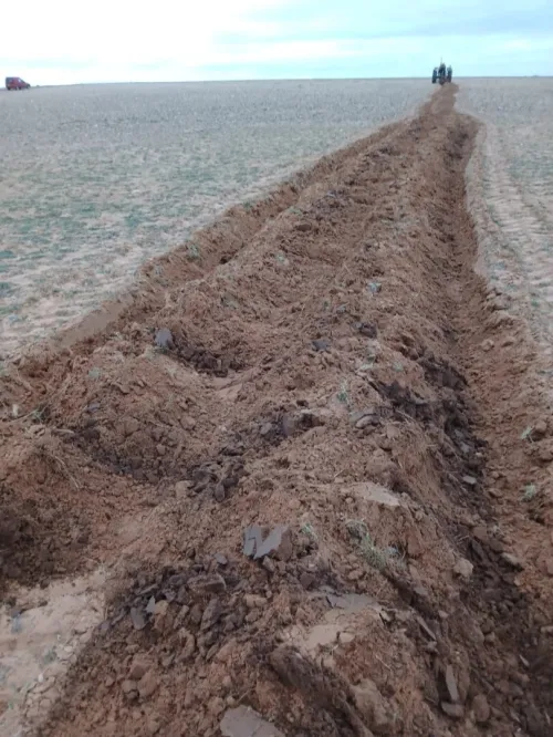 Vente Terrain Agricole Djelfa Birine