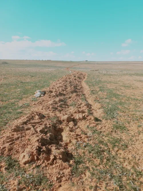 Vente Terrain Agricole Djelfa Birine