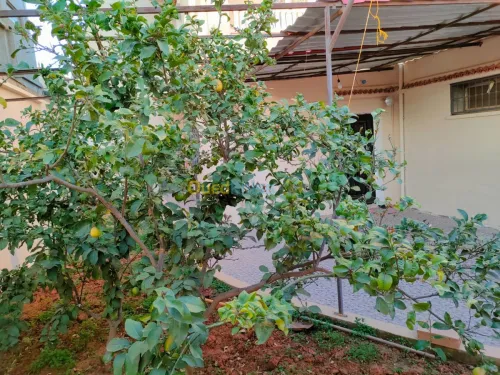 Vente Villa Alger Birtouta