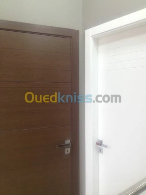 installation de porte luxe