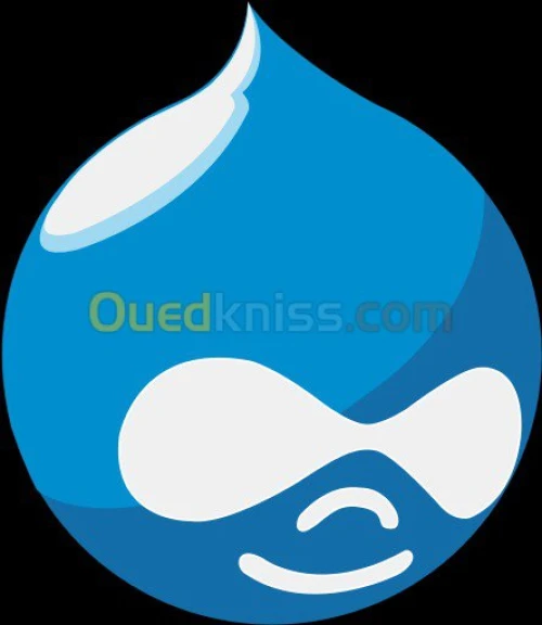 Conception de Site Internet