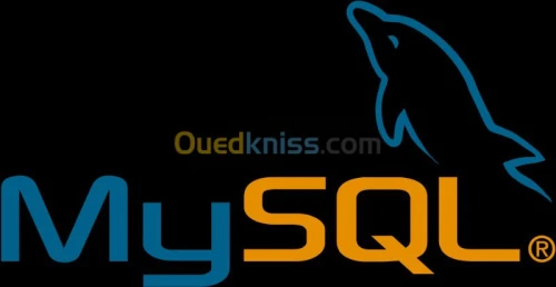 Conception de Site Internet