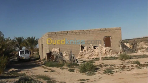 Vente Terrain Biskra El hadjeb