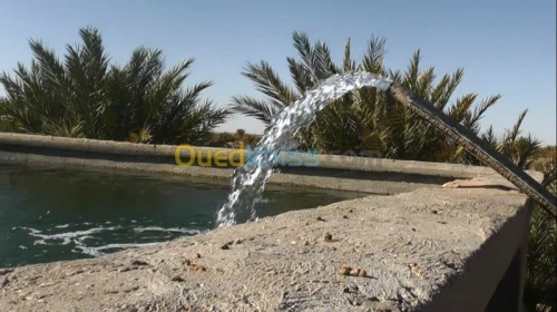 Vente Terrain Biskra El hadjeb