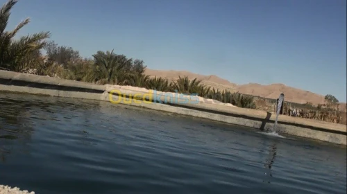 Vente Terrain Biskra El hadjeb