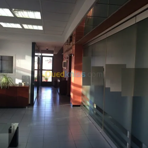 Location Immeuble Alger Ben aknoun