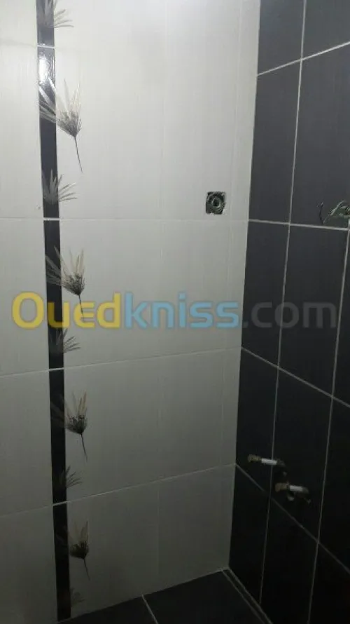 Carreleur,marbre,pierre,dalle de sol.