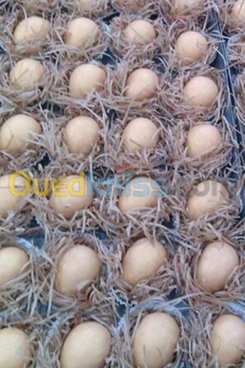 gâteaux orientales  