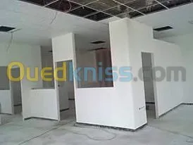 ba13 pvc plafond dimentable et l'alico
